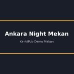 Ankara Night Mekan